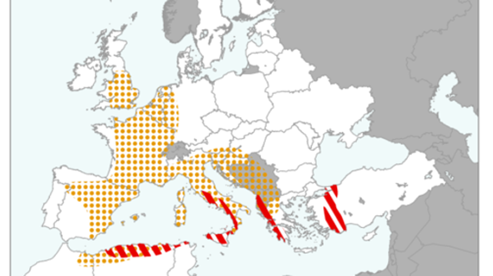 Événements climatiques extrêmes sur la période du 1er février au 31 mars. © JRS Mars Bulletin.